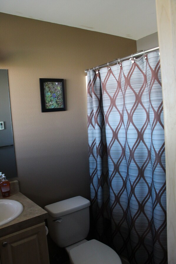 A bathroom with a toilet, sink, and shower curtain. - Baker Valley Home (North Powder)