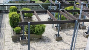 A rooftop garden with wooden pergolas and concrete planters with greenery.