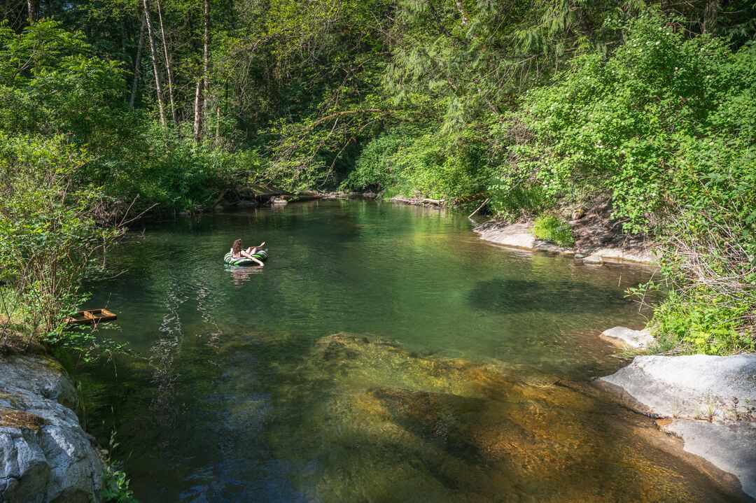 Un río limpio rodeado de abundante follaje verde.