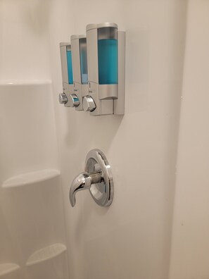 Shower, hair dryer, soap, toilet paper - Beautiful spacious Suite guest house (Bakersfield)