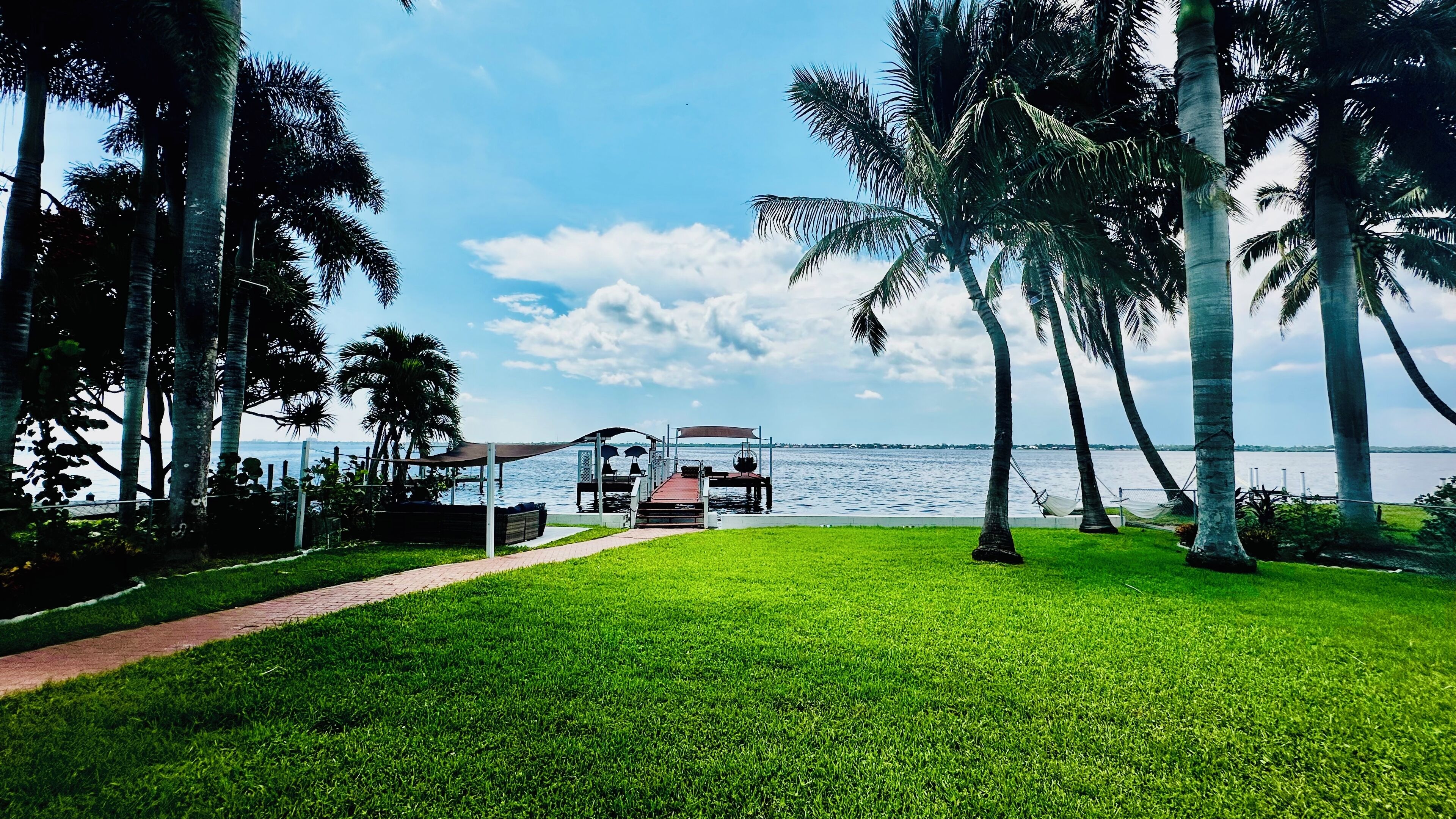 A grassy area with a dock leading to a body of water, surrounded by palm trees.