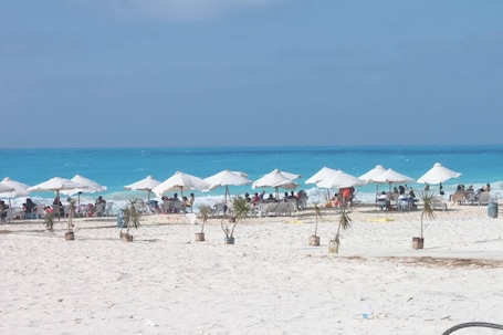 Beach nearby. Spacious 5-Bed House in Alamein with Large garden