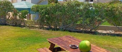 A wooden picnic table with a watermelon and a bowl of grapes in a grassy area with a building in the background.