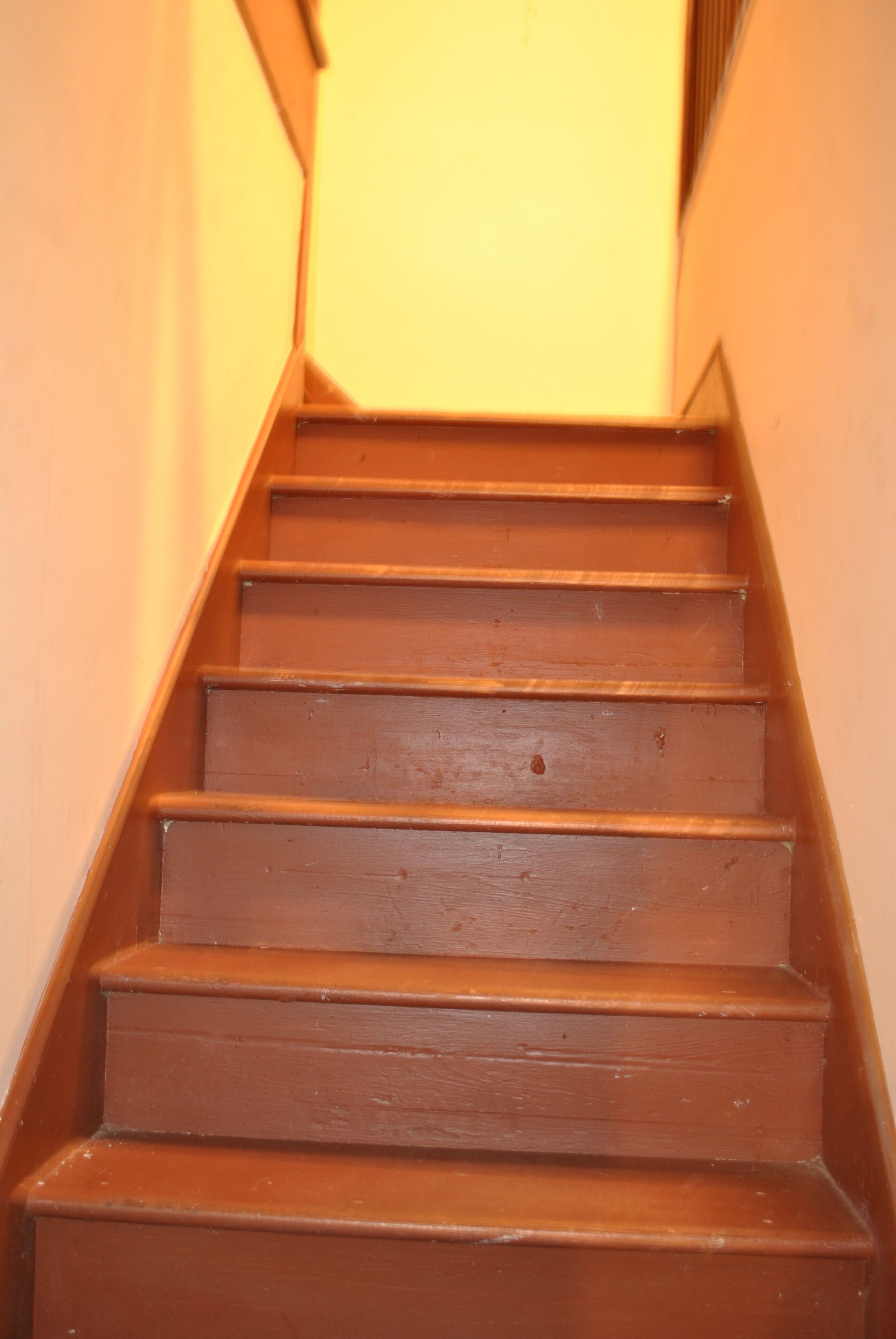 비즈니스 스튜디오 스위트 | 테라스/파티오