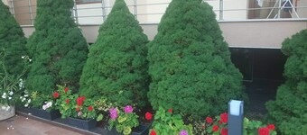Hotel apartment with a pool right across the street from the beach