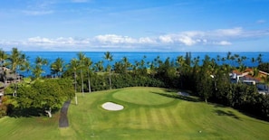 Un parcours de golf offrant une vue dégagée sur l’océan et les palmiers.