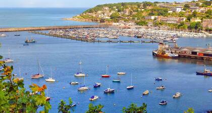 Silver 1 Chalet Slps 4 Pet