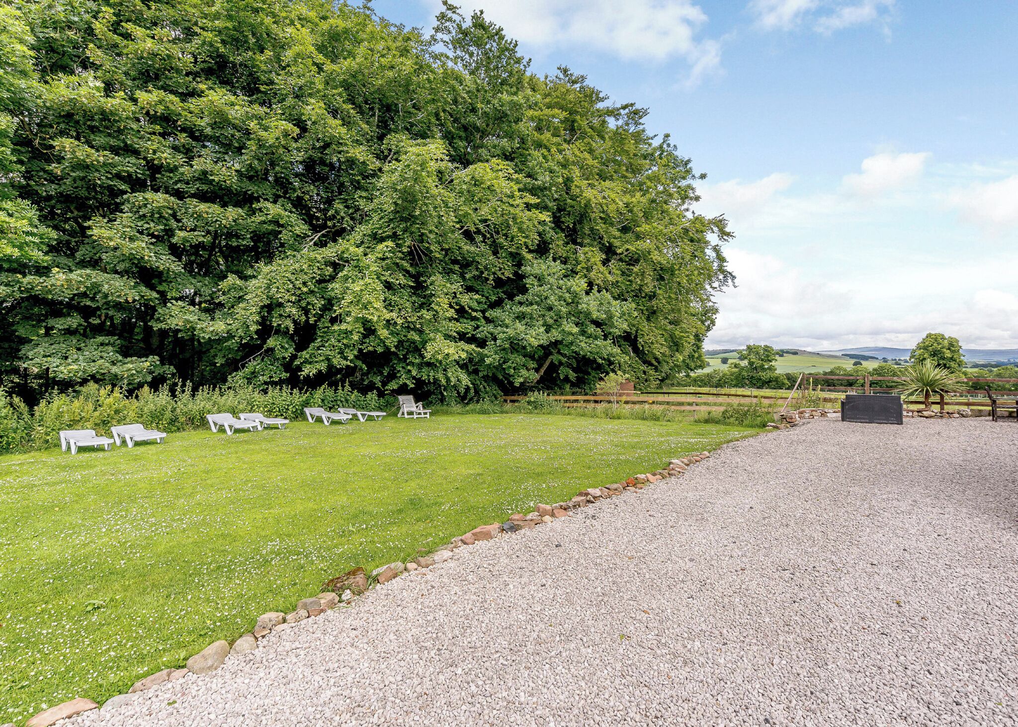 A grassy area with white lounge chairs and a gravel path.