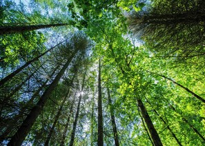 Nicht klassifiziertes Bild, 4 von 13, Schaltfläche