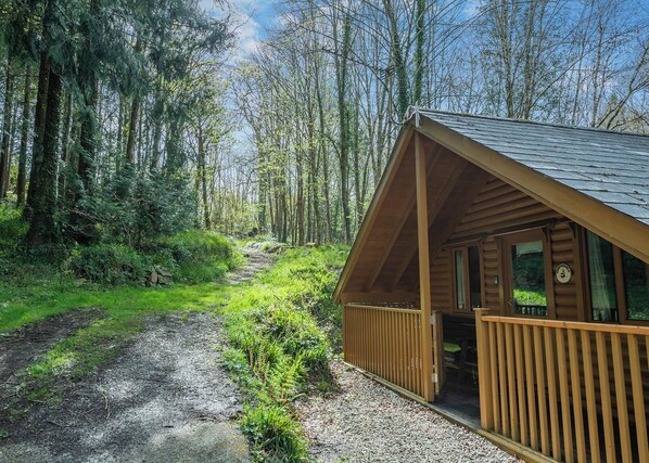 A wooden cabin with a porch, surrounded by a forested area.