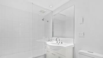 Combined shower/bathtub, hair dryer, towels, soap