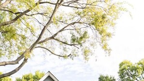 A two-story house with a front porch, a small garden, and a tree in the background. - Cheerful House near Coffee, Food + Fenced-in Yard (Nashville)