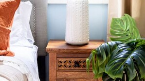 A bedroom with a bed, a nightstand with a lamp, and a large plant. - Cheerful House near Coffee, Food + Fenced-in Yard (Nashville)
