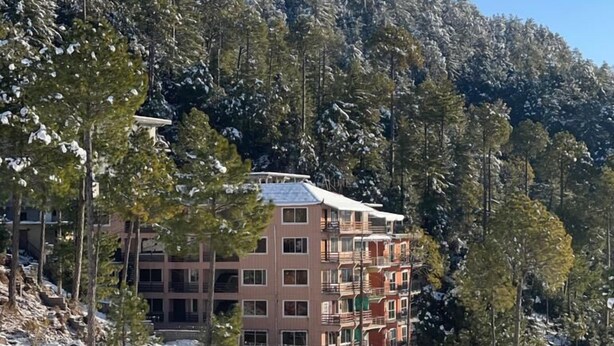 Un immeuble à plusieurs étages, entouré d’arbres couverts de neige, sous un ciel bleu clair.