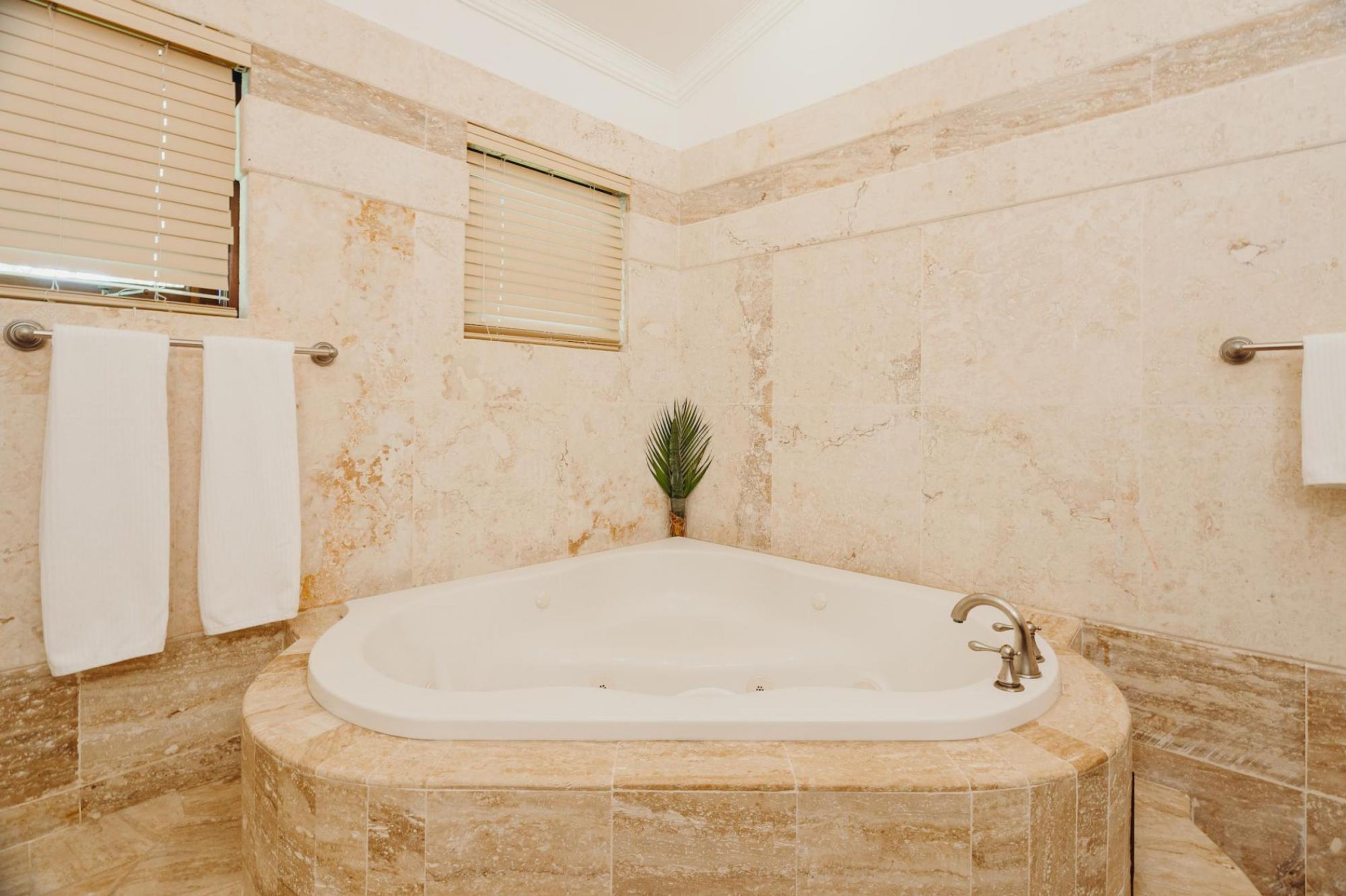 Un baño con una bañera independiente, paredes de mármol y una planta en maceta.