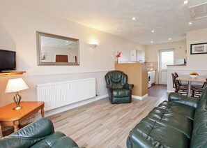 A living room with a sofa, a chair, a table, a lamp, a radiator, a television, a mirror, and a kitchen area with a washing machine.