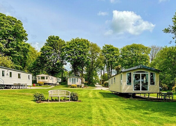 Imagen sin descripción, 1 de 8, botón