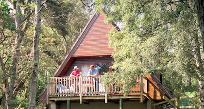 Highland Ranch Lodge