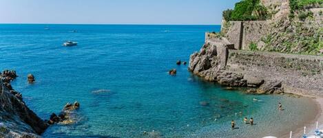 Plage à proximité, chaises longues, serviettes de plage