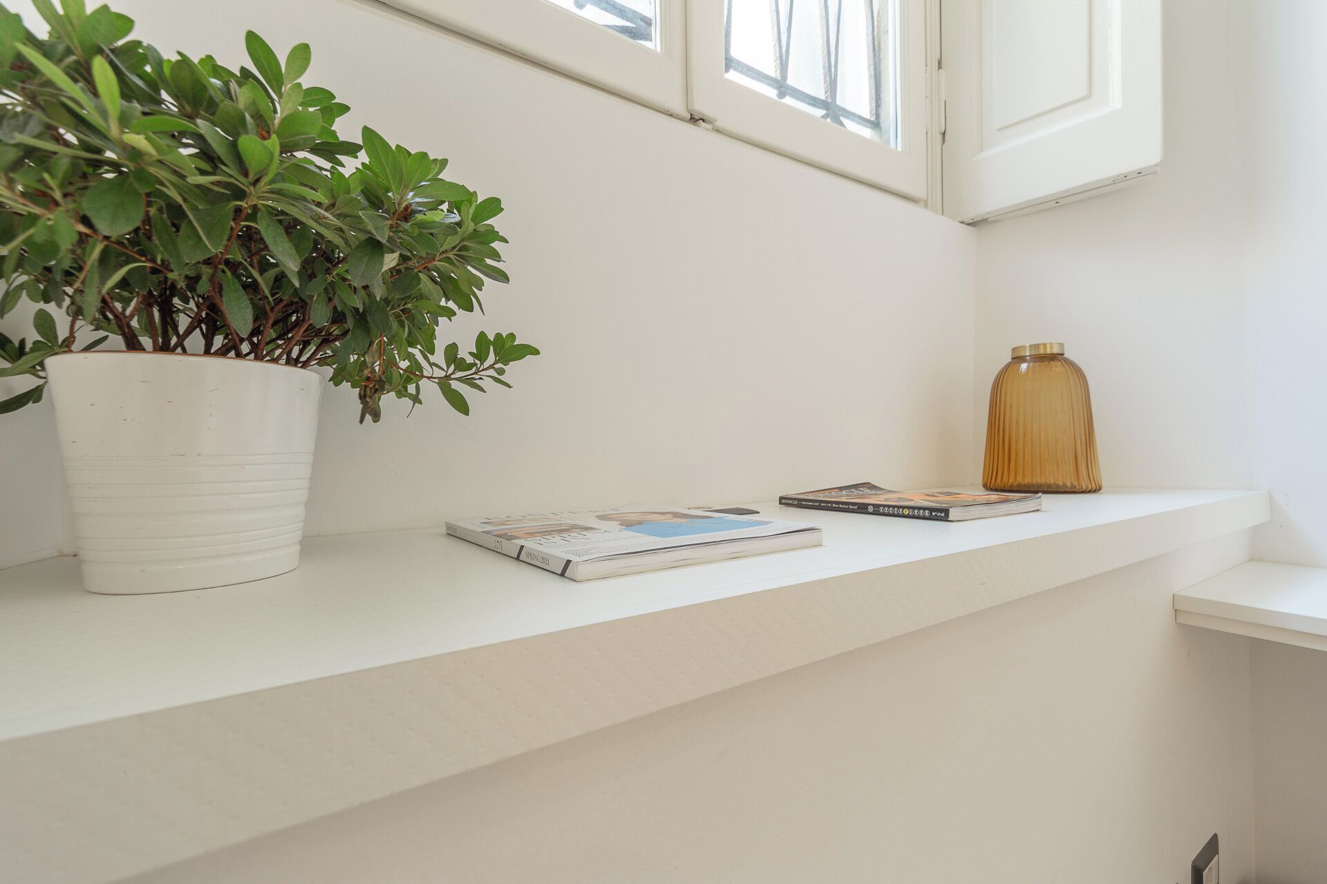 A white shelf with a potted plant, two books, and a glass vase.