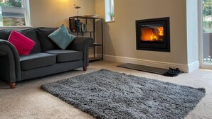 A living room with a grey sofa, a black rug, a fireplace, and a bookshelf. - Lovely 3-bed House, Burnham Market, North Norfolk (King's Lynn)