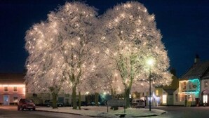 A street scene at night with illuminated trees and buildings. - Lovely 3-bed House, Burnham Market, North Norfolk (King's Lynn)