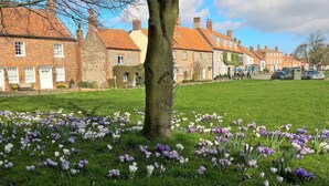 A residential street with houses, a tree, and a lawn with crocuses. - Lovely 3-bed House, Burnham Market, North Norfolk (King's Lynn)