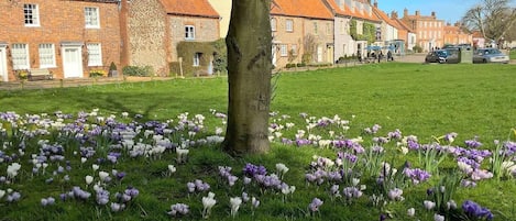 House, Multiple Beds | Exterior