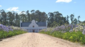 Eksteriør