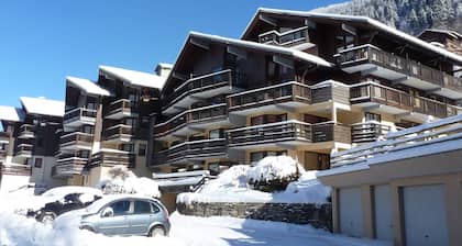 Agréable appartement T3 en mezzanine, 4 pers, proche des pistes, Wifi, terrasse, services disponibles