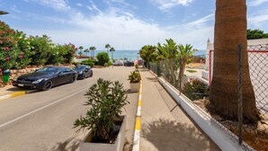 Une route côtière bordée de voitures garées, un palmier et une vue sur la mer.
