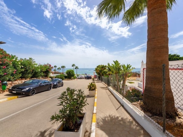 Una carretera costera con autos estacionados, una palmera y vista al mar.