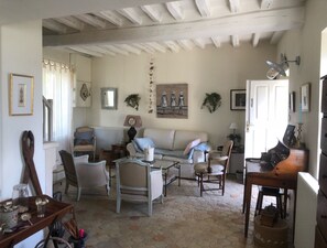 TV, fireplace, DVD player, books