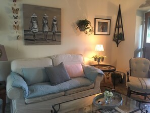 Televisión, chimenea, reproductor de DVD y libros 