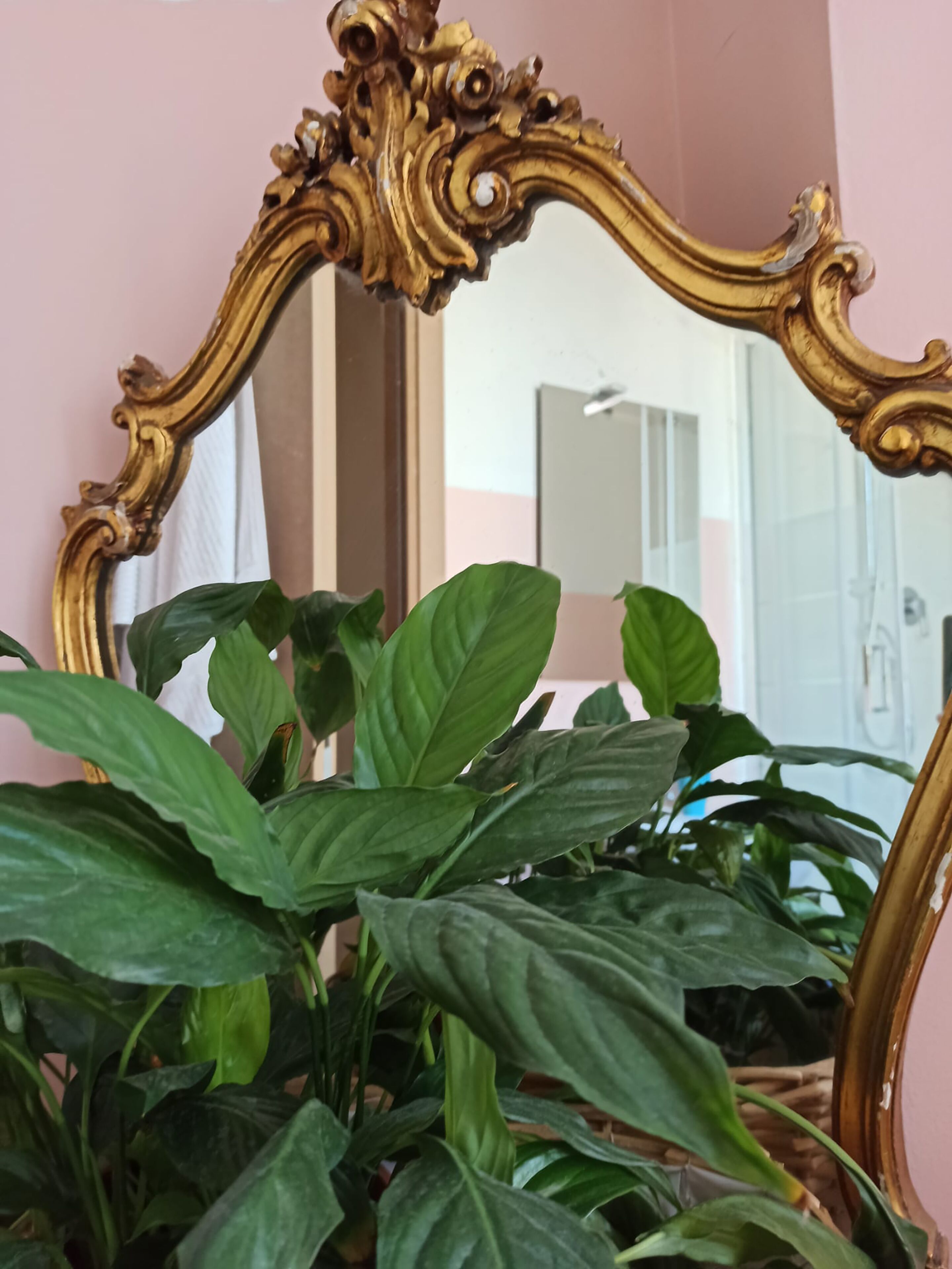Foto - Paradise Rooms
