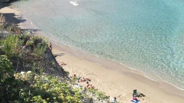 Una playa con agua cristalina, orilla de arena y vegetación.