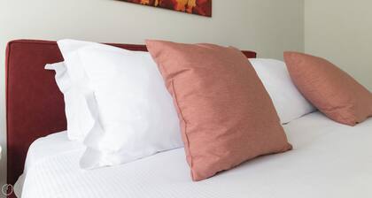 Italianway Easy - Plinio 64