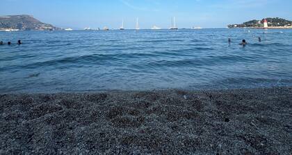 Magnifique Design T2, Confortable, Parking Gratuit