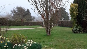 Un jardín con un sendero de grava, un árbol y narcisos.