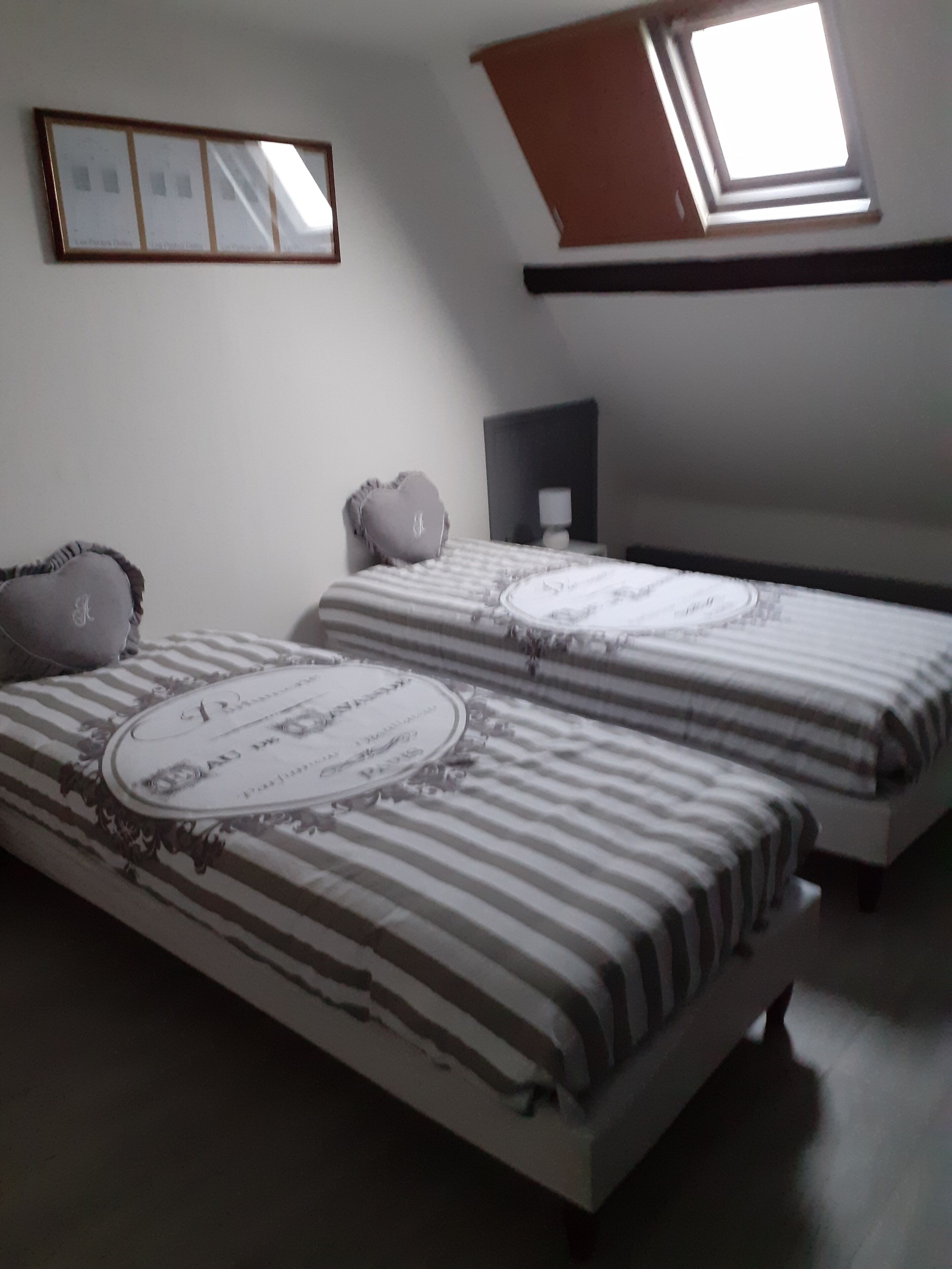 A bedroom with two beds, a skylight, a framed picture, and a bedside table with a lamp.