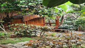 Un jardín con valla de madera, sendero de piedra y diversas plantas.