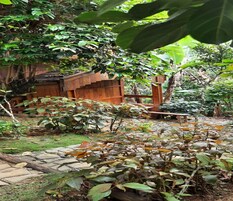 Egyptian cotton sheets, premium bedding, desk, WiFi