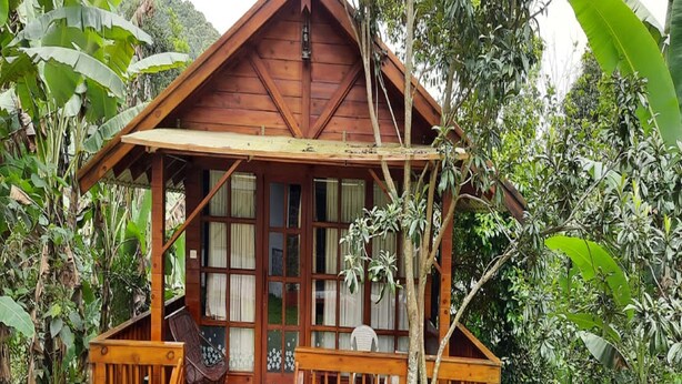 Una cabaña de madera con balcón, rodeada de abundante vegetación.