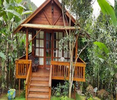 Egyptian cotton sheets, premium bedding, desk, WiFi