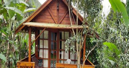 Remas Resorts Adventure Park
