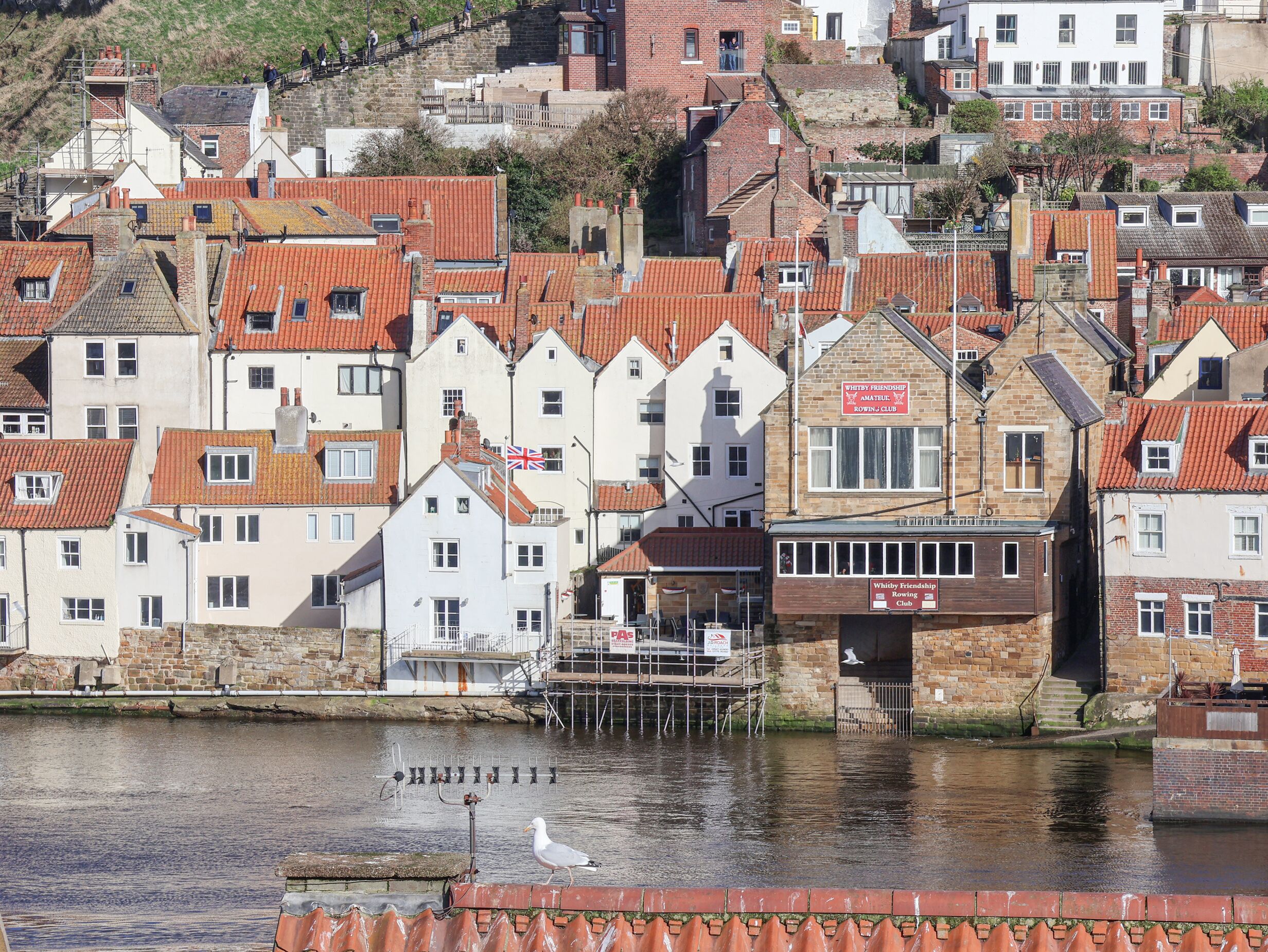 A waterfront building with a sign for "Whitby Friendship Rowing Club".
