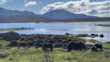 A natural landscape with a lake, mountains, and grazing animals.