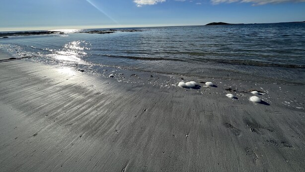 A beach with a clear sky, calm sea, and a distant island. - Dun Buidhe (South Uist)