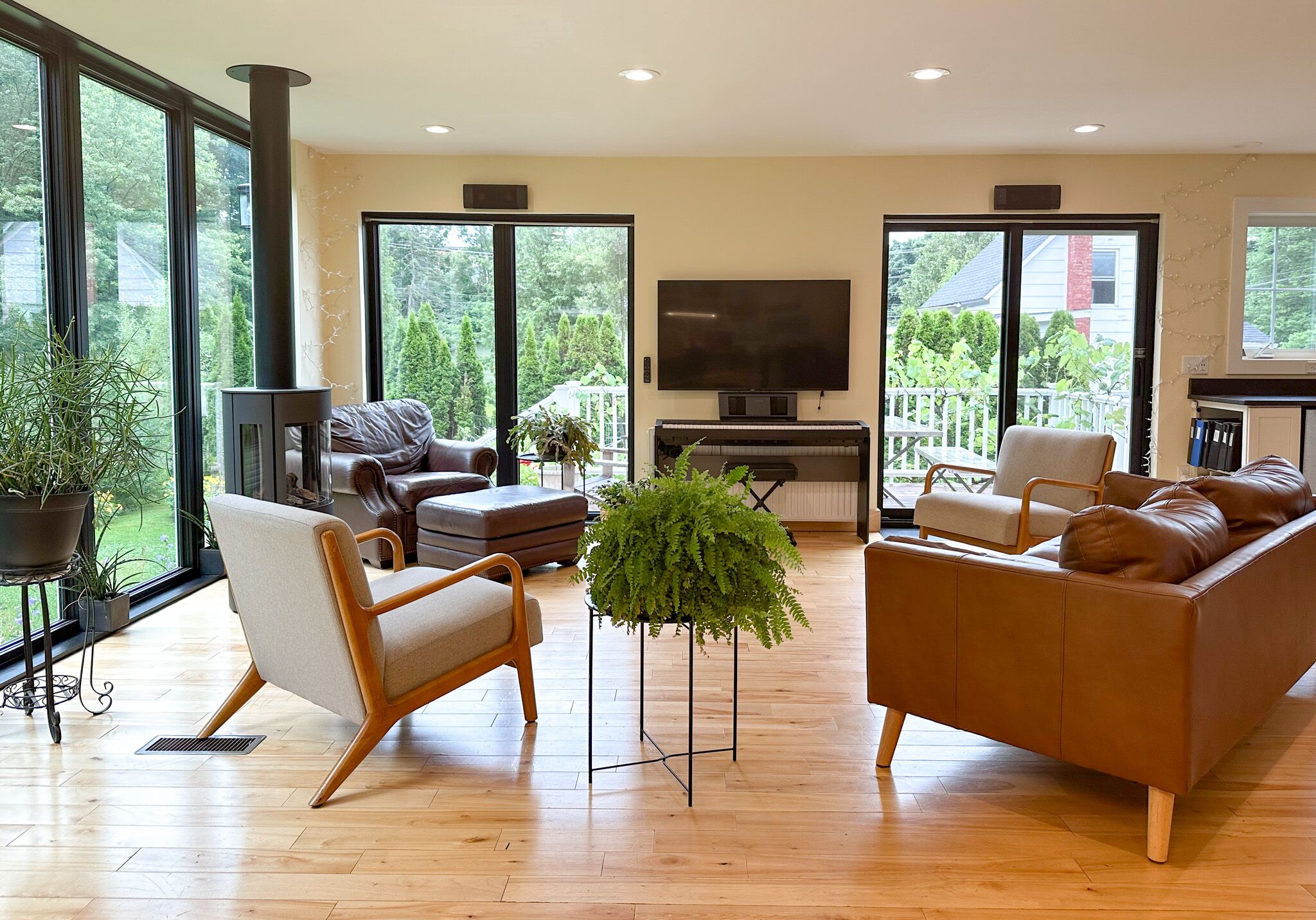 Smart TV, fireplace, books, offices