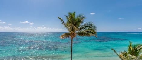 Accommodatie ligt op het strand